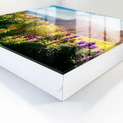 Wall mounted key cabinet A mountain idyll with flowers and sun