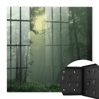 Wall mounted key cabinet Forest fog in the morning mist