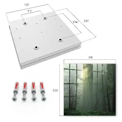 Wall mounted key cabinet Forest fog in the morning mist