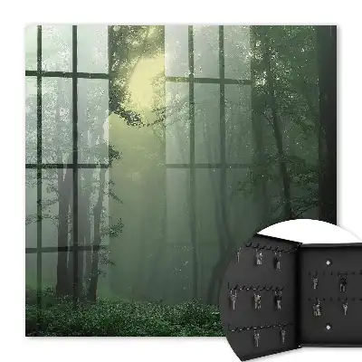 Wall mounted key cabinet Forest fog in the morning mist