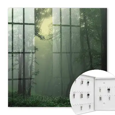Wall mounted key cabinet Forest fog in the morning mist