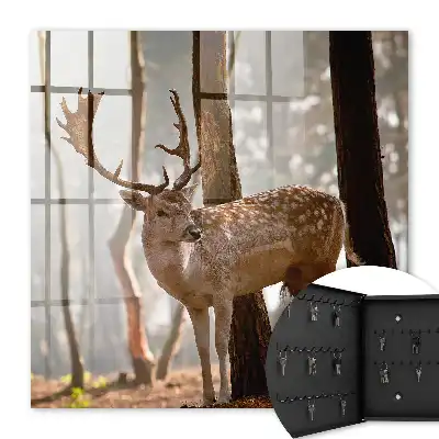 Wall mounted key box Deer in the forest at sunset