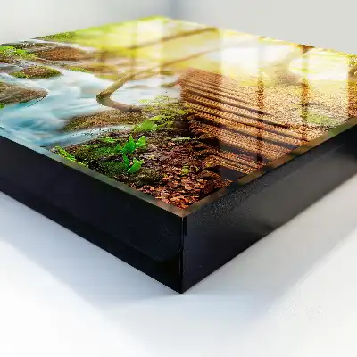 Wall mounted key box A forest corner in the green forest