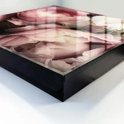 Key cabinet Rose beauty roses in shades