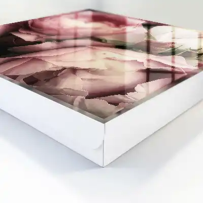 Key cabinet Rose beauty roses in shades