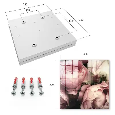 Key cabinet Rose beauty roses in shades