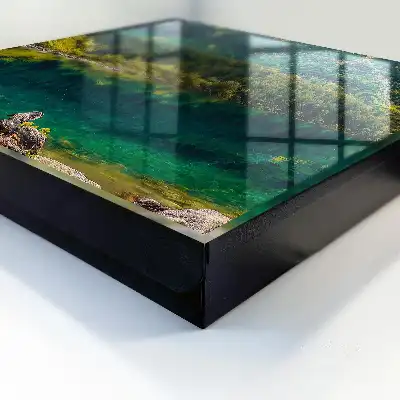 Wall mounted key cabinet Mountain idyll in green water