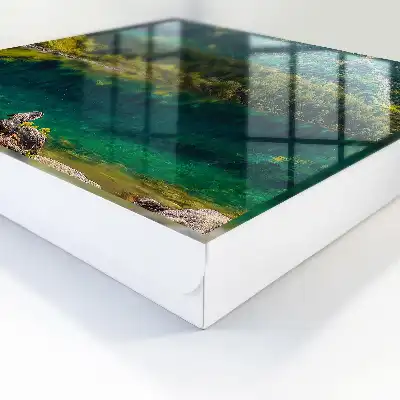 Wall mounted key cabinet Mountain idyll in green water
