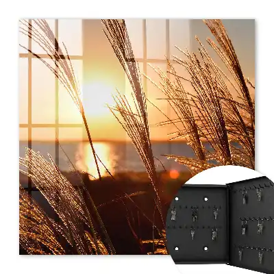 Key cabinet Sunset over the sea with grass