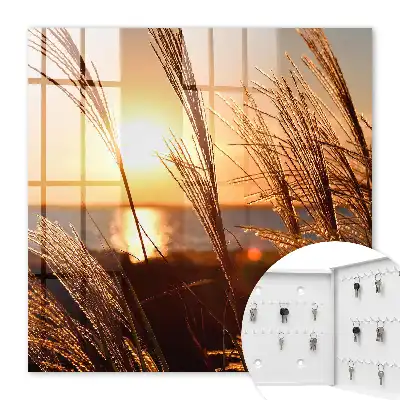 Key cabinet Sunset over the sea with grass