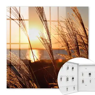 Key cabinet Sunset over the sea with grass