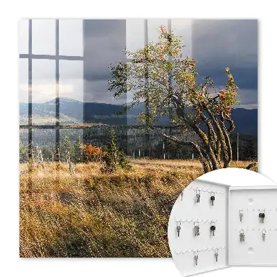 Wall mounted key box Autumn landscape with trees and sky