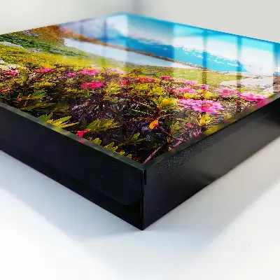 Decorative key box A mountain landscape full of colors