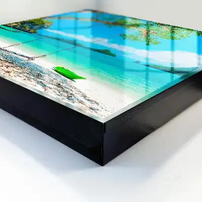 Wall mounted key cabinet Tropical paradise sea green