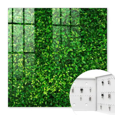 Key cabinet A green garden provides peace