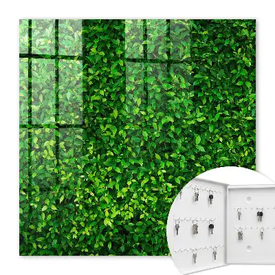 Key cabinet A green garden provides peace