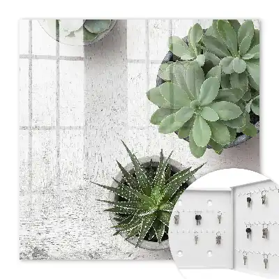 Key cabinet Green succulents in the light background