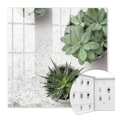 Key cabinet Green succulents in the light background