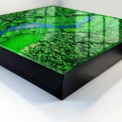 Green Forests decorative key cabinet
