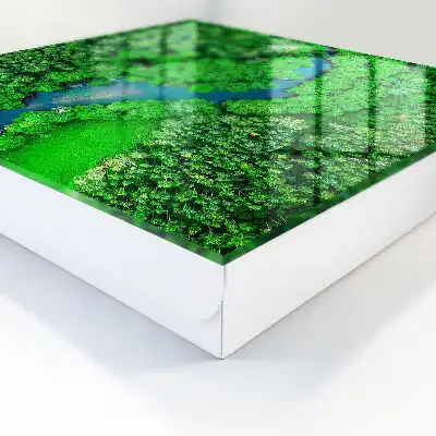 Green Forests decorative key cabinet