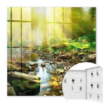 Key cabinet Forest stream