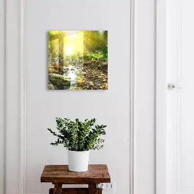 Key cabinet Forest stream