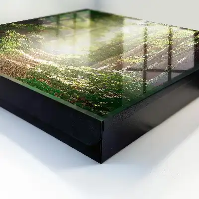 Wall mounted key box Forest landscape with green trees