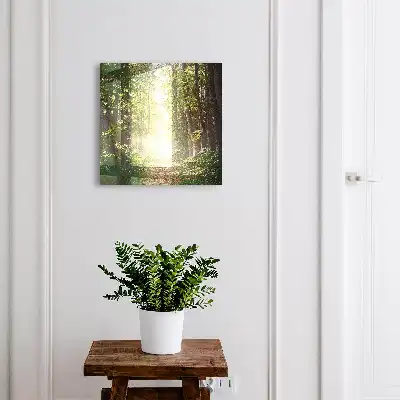 Wall mounted key box Forest landscape with green trees
