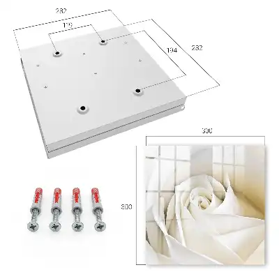 Wall mounted key cabinet A white rose with subtle petals