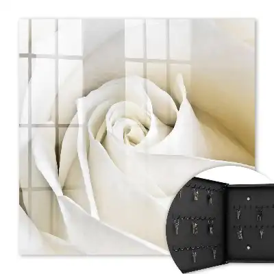 Wall mounted key cabinet A white rose with subtle petals