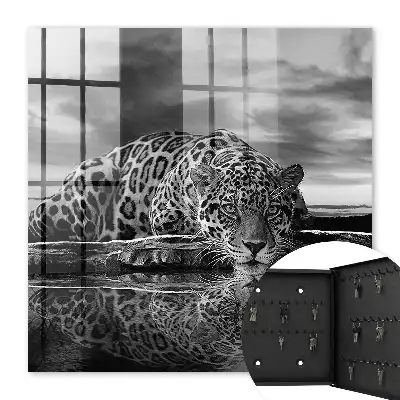 Key cabinet Jaguars in the water black and white contrast
