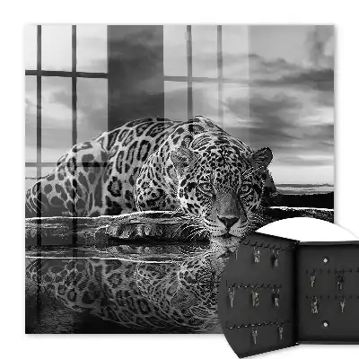 Key cabinet Jaguars in the water black and white contrast