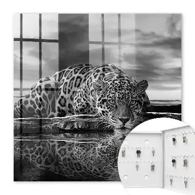 Key cabinet Jaguars in the water black and white contrast