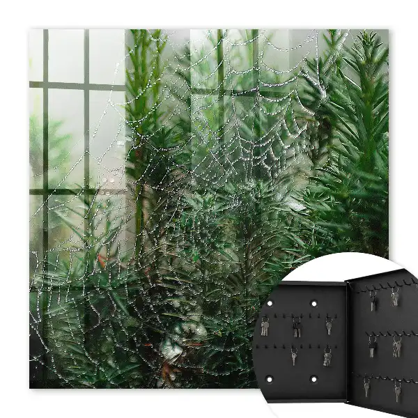 Decorative key box A spider's web in a forest of green needles