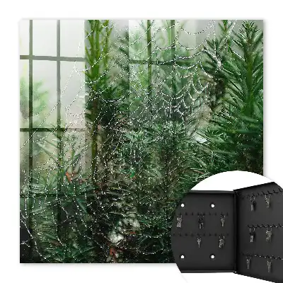 Decorative key box A spider's web in a forest of green needles