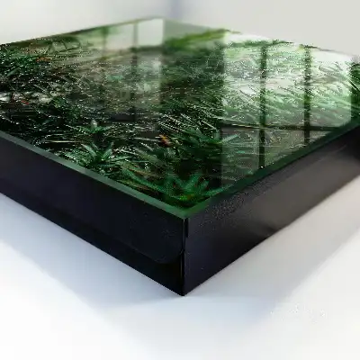 Decorative key box A spider's web in a forest of green needles
