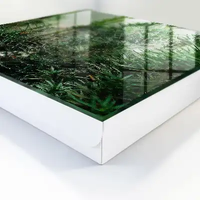 Decorative key box A spider's web in a forest of green needles