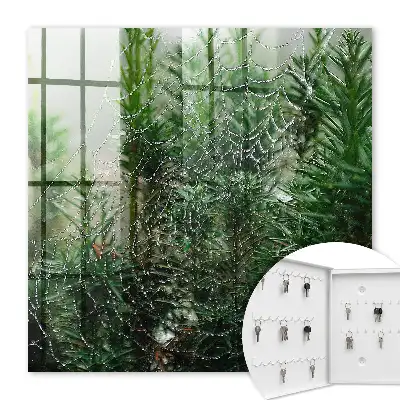 Decorative key box A spider's web in a forest of green needles
