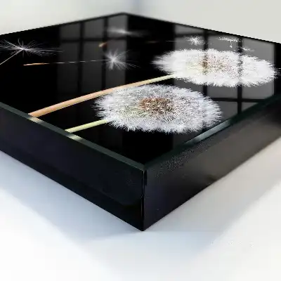Key cabinet Delicate dandelions without a dot