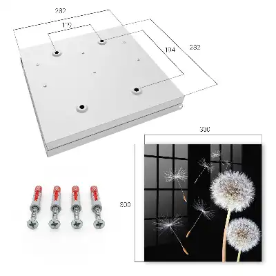 Key cabinet Delicate dandelions without a dot