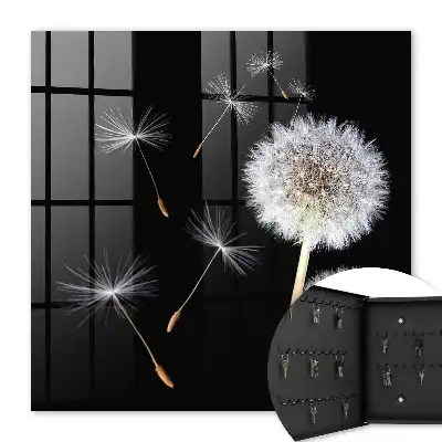 Key cabinet Delicate dandelions without a dot