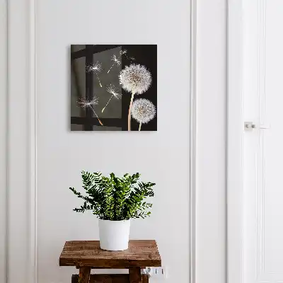 Key cabinet Delicate dandelions without a dot