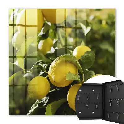 Wall mounted key box Juicy fresh green leaves