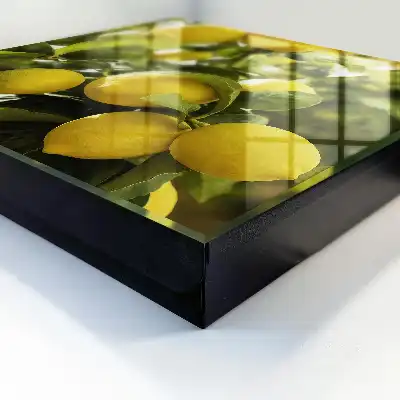 Wall mounted key box Juicy fresh green leaves