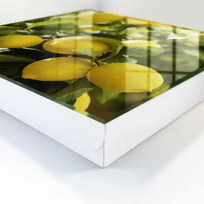 Wall mounted key box Juicy fresh green leaves