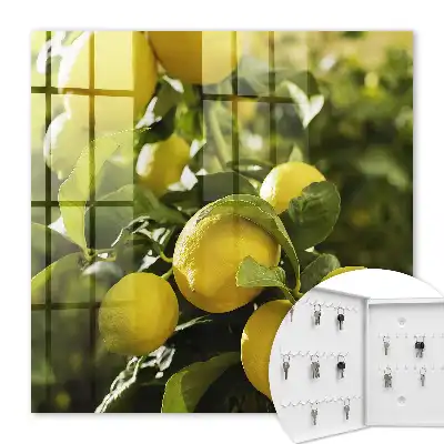 Wall mounted key box Juicy fresh green leaves
