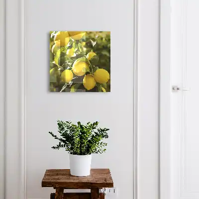 Wall mounted key box Juicy fresh green leaves