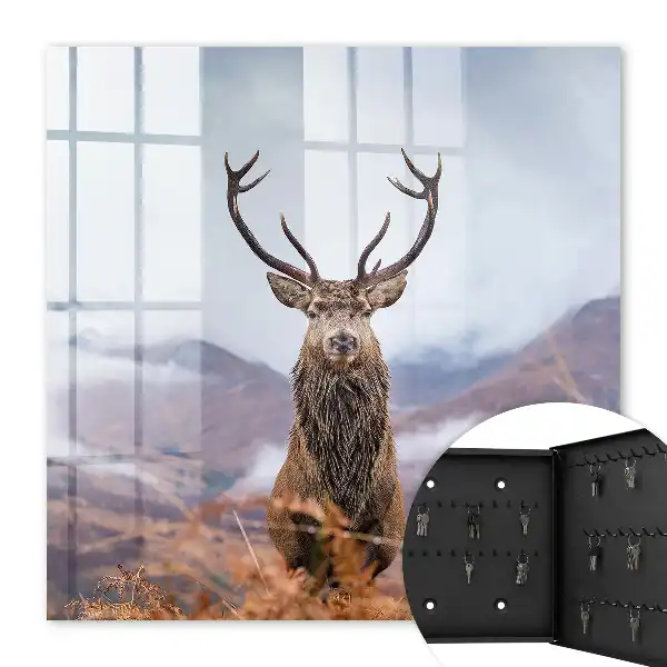 Key cabinet Mountain deer in a foggy landscape