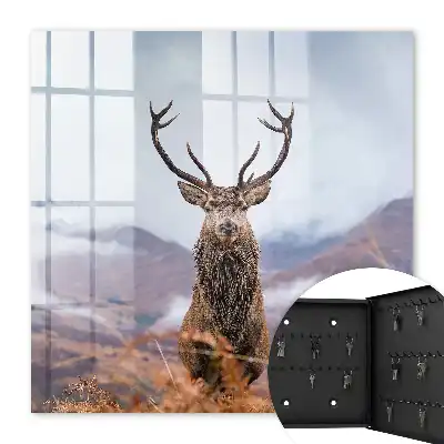 Key cabinet Mountain deer in a foggy landscape