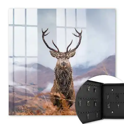 Key cabinet Mountain deer in a foggy landscape
